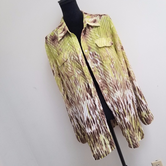 Tanjay Green, Brown Button Down Textured Sheer Top - Picture 1 of 6